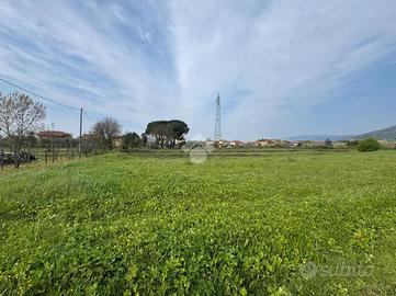 TER. AGRICOLO A BUGGIANO