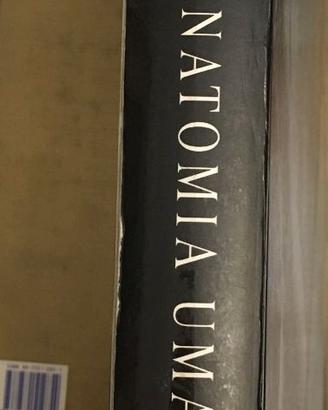 Manuale di Anatomia