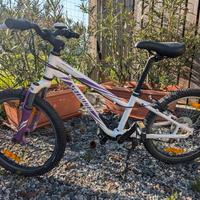 MTB Specialized Hotrock 20" bambina