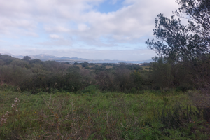 Terreno Ampia Vista Mare Murta Maria.Investimento