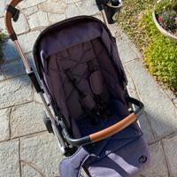 Passeggiono con seduta rotante