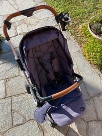 Passeggiono con seduta rotante