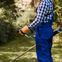 Coppia custodi con alloggio