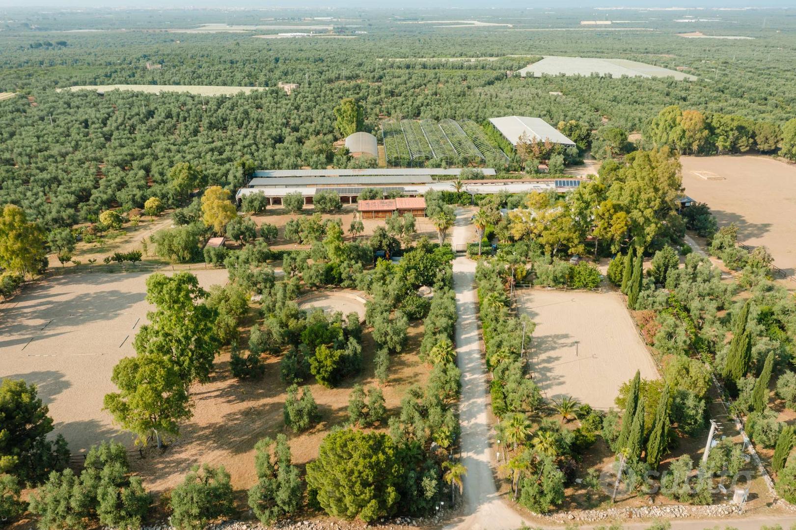 Masseria - Bisceglie - Altro
