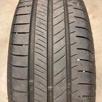 Gomme estive Nexen