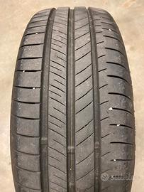 Gomme estive Nexen