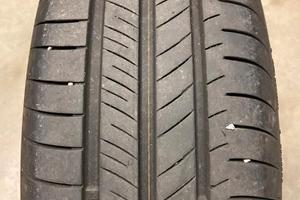Gomme estive Nexen