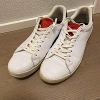 Scarpe TOMMY numero 43