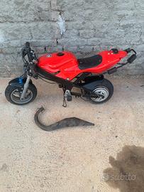 Telao minimoto pasini