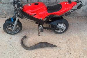 Telao minimoto pasini