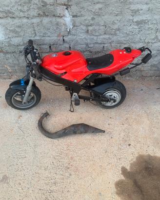 Telao minimoto pasini