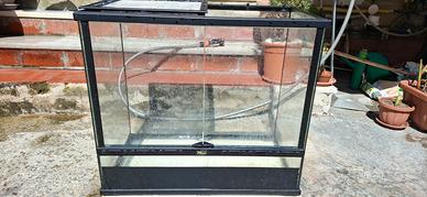 Terrario Terratlantis 