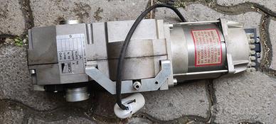 Came motore basculante