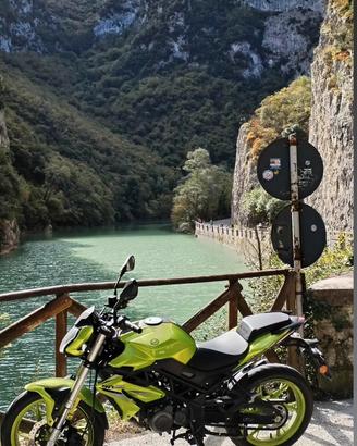 Benelli bn 125