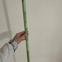 Canna fissa 6 m