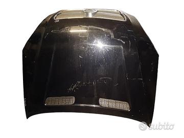 Cofano Per Shuanghuan CEO