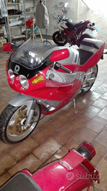 Bimota yb8 DIECI