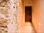 Immagine 11