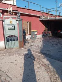 casa singola con giardino 