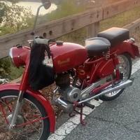 Benelli .. fiat 1100