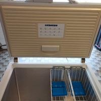 Congelatore orizzontale Liebherr  GTS 3012