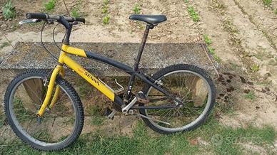 bici montanbike 