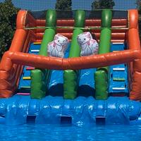 Scivolo aristogatti e piscina 8x8