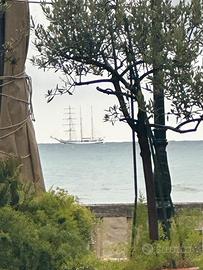 Pizzeria d'asporto gastronomia paninoteca gelateri