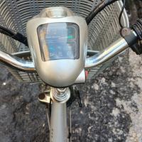 bicicletta elettrica Zenith Project Poker Plus, 