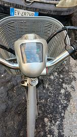 bicicletta elettrica Zenith Project Poker Plus, 