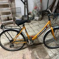bicicletta donna 