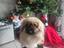 Immagine 5