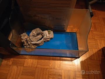 Vasca per tartarughe 