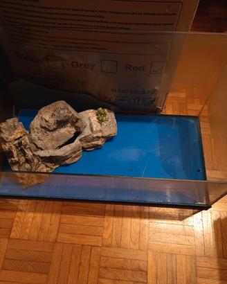 Vasca per tartarughe 