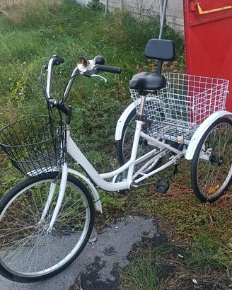 Triciclo per adulto