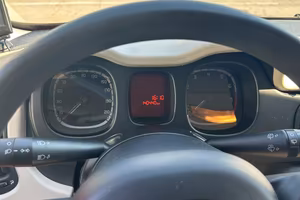  panda usata