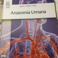 libro di anatomia umana, martini 