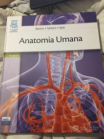 libro di anatomia umana, martini 