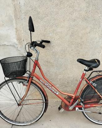 bicicletta con cestino 