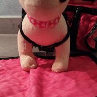 Chi Chi Love Paris Simba Toys