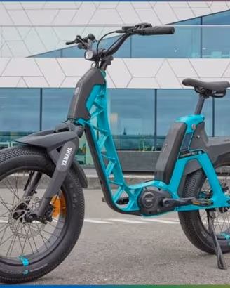 Bici Fat BykeYamaha