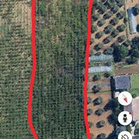 Terreno agricolo vigneto