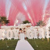 Gender reveal boy girl Reggio Calabria 3476148832