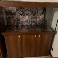 Acquario completo di mobile juwel rio 350+ lampade