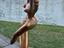 Immagine 3