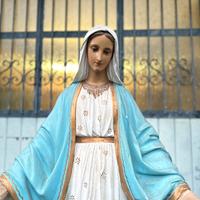 Statua Antica Madonna Miracolosa