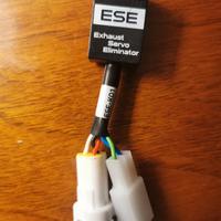 Esclusore Exup Kawasaki zx-6r 2024-2026