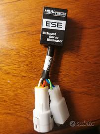 Esclusore Exup Kawasaki zx-6r 2024-2026