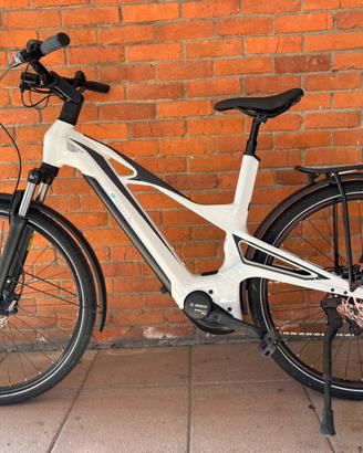 Bici pedalata assistita