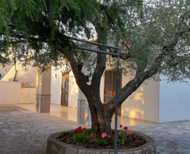 Villetta immersa nel verde